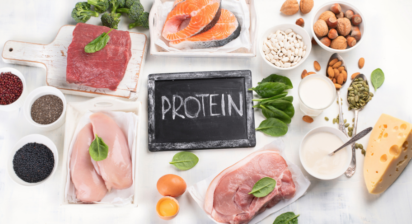 Proteinli Gıdaların Beslenmedeki Önemi Nedir?