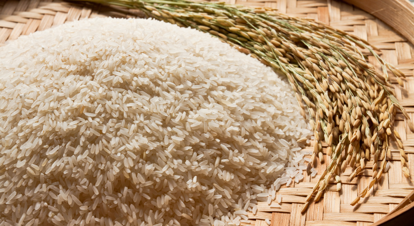 Pirinç Çeşitleri ve Diyabet