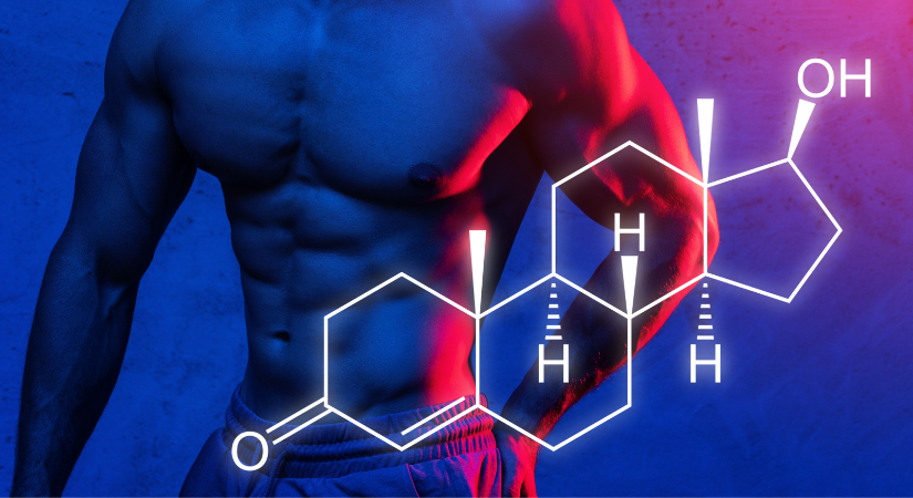 Protein Tozu Testosteronu Düşürür Mü?